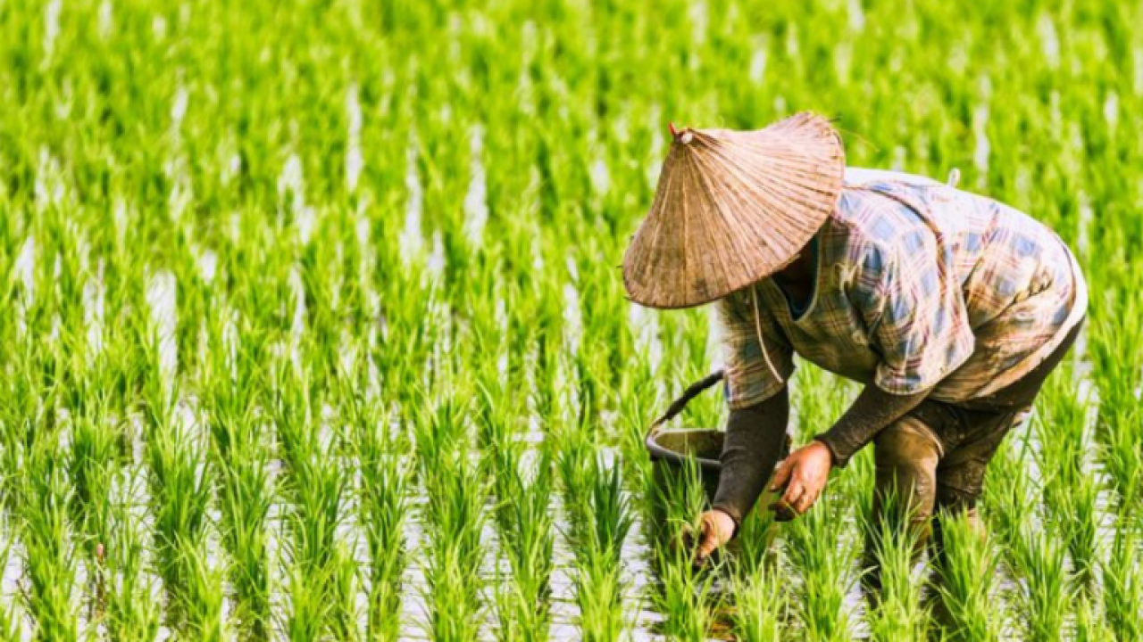 Farmers Solutions