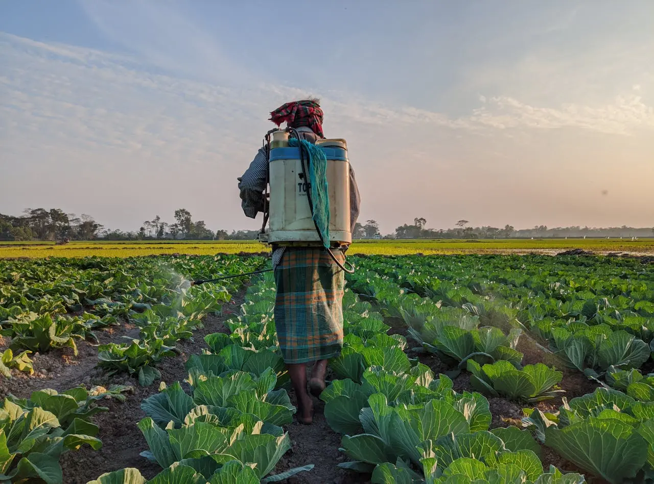 7 Praktik Pertanian Berkelanjutan yang Perlu Diketahui Petani